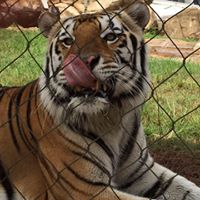 Cynthia Cheek Photo 6