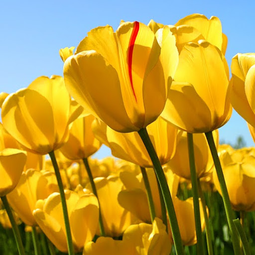 Julia Holden Photo 17 Julia Holden Photo 17