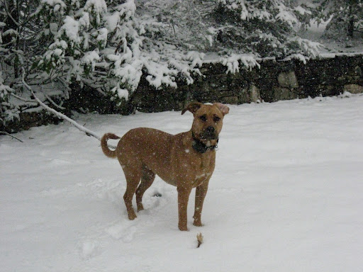 Tracy Aiken Photo 15