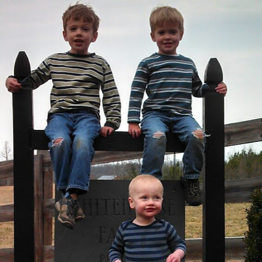 Matthew Brewer Photo 29