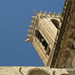 Teresa Campanile Photo 8