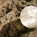 Crystal Heard Photo 4