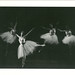 Cynthia Gregory Photo 28