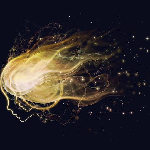 Lisa Zimmerman Photo 49