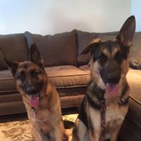 Patrick Conner Photo 24