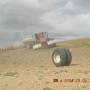 Terry Harding Photo 9