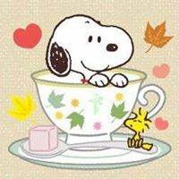 Robin Reese Photo 28