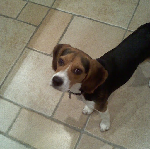 Glen Robinson Photo 17 Glen Robinson Photo 17