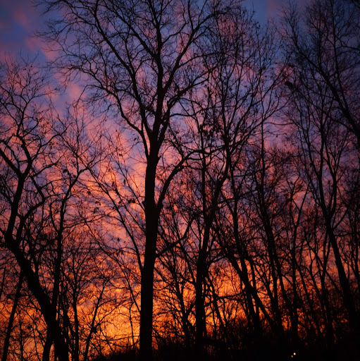 Mark Scherer Photo 15