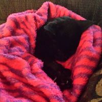 Paula Wiley Photo 14