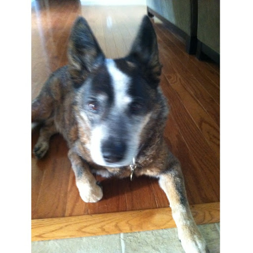 Susan Inman Photo 37