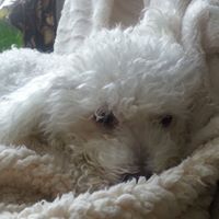 Julia Agnew Photo 10