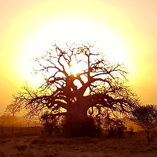 Mark Shanks Photo 19