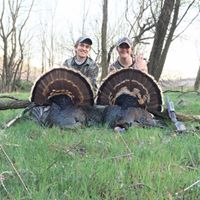 David Stafford Photo 18