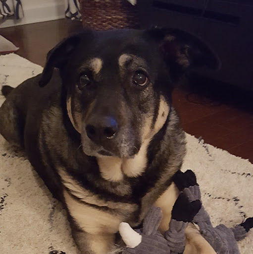 Anne Howard Photo 17