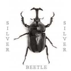 Matthew Mcbride Photo 34