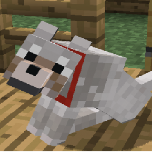 William Novak Photo 44 William Novak Photo 44