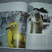 Ada Rivera Photo 7