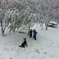 Cassandra Warner Photo 16