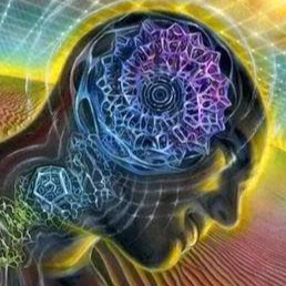 Ronald Espinoza Photo 8