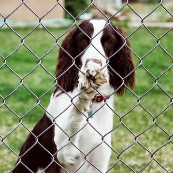 Pamela Phillips Photo 50