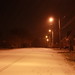 Tammy Settles Photo 10