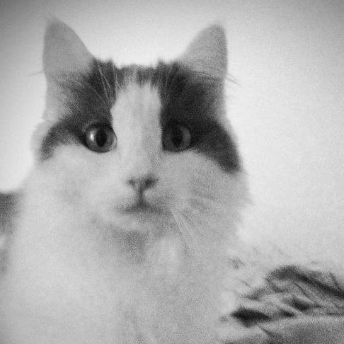 Sarah Powell Photo 19 Sarah Powell Photo 19