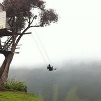 Sally Hopkins Photo 12