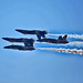 Douglas Dobbins Photo 17