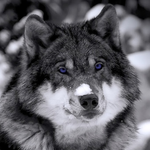 Christine Meyers Photo 20