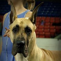 Adam Hickman Photo 36