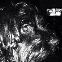 Frances Higgins Photo 21