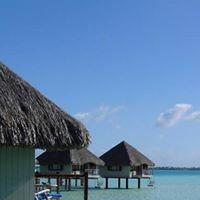 Theresa Fitzgerald Photo 12