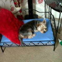 Pauline Garland Photo 2