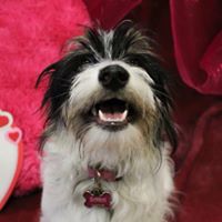 Andrea Mclaughlin Photo 45