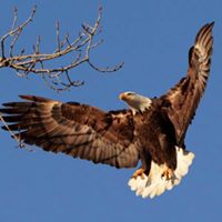 Barbara Mcclain Photo 23