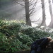 Rebecca Lay Photo 37
