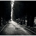 Michele Black Photo 45