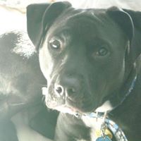 Amy Thibodeau Photo 20