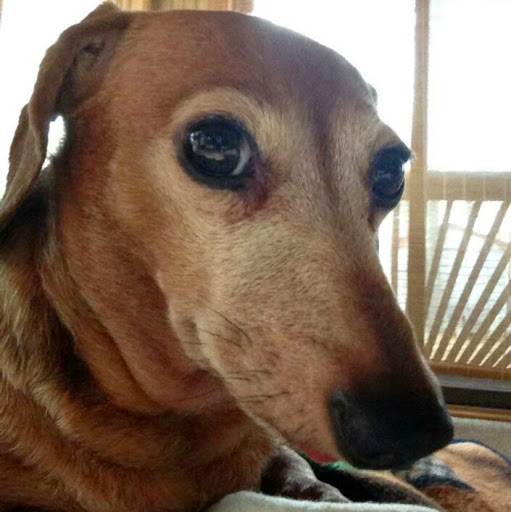 Ronald Campbell Photo 12 Ronald Campbell Photo 12