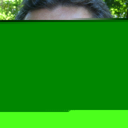 Chris O'Neill Photo 2