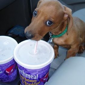 Jeanette Thompson Photo 8