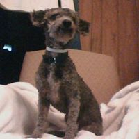 George Lockhart Photo 24