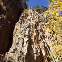 Janice Moss Photo 14