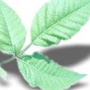 Christie Goode Photo 4