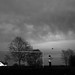 Arthur Holbrook Photo 7