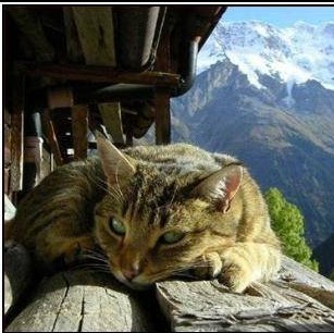 Teresa Skinner Photo 15