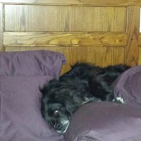 Kathleen Blevins Photo 16