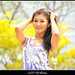 Hong Lim Photo 31