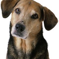 Derek Webber Photo 10